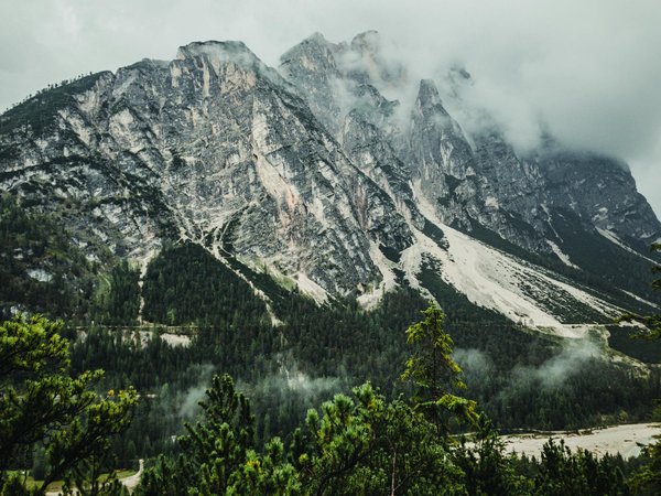 Comment planifier une visite des parcs nationaux de la côte ouest des États-Unis?