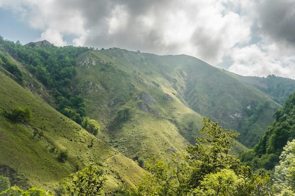 Comment découvrir les traditions de la pêche à la crevette en Hollande?