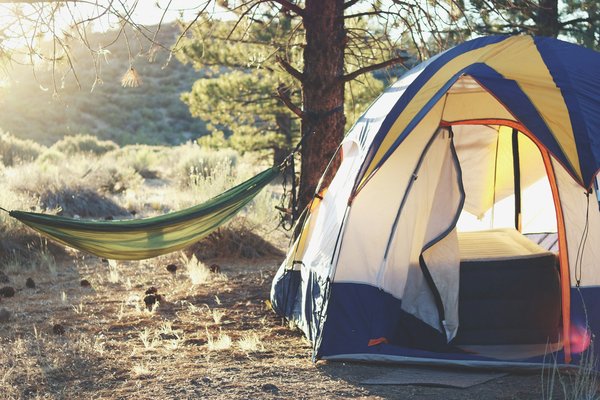 Quels sont les équipements indispensables pour un camping en région de forêts de conifères en hiver?